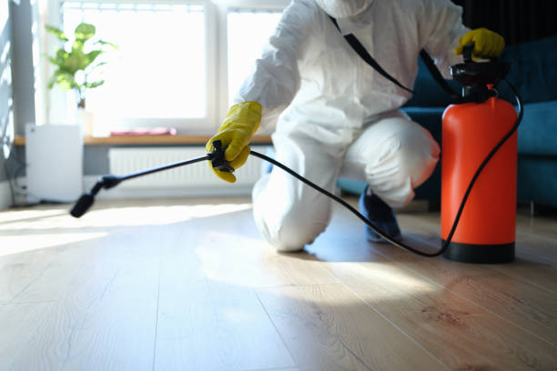 Reliable Hoarding Cleanup contractor in New Athens, IL by Crime Scene Cleaner Online